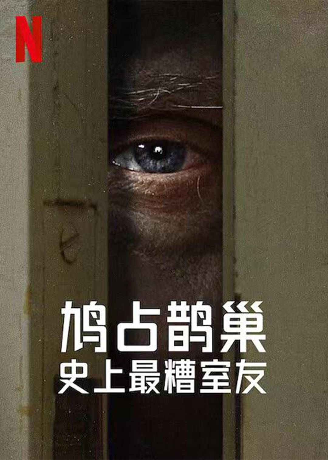 史上最糟糕的室友第一季封面图