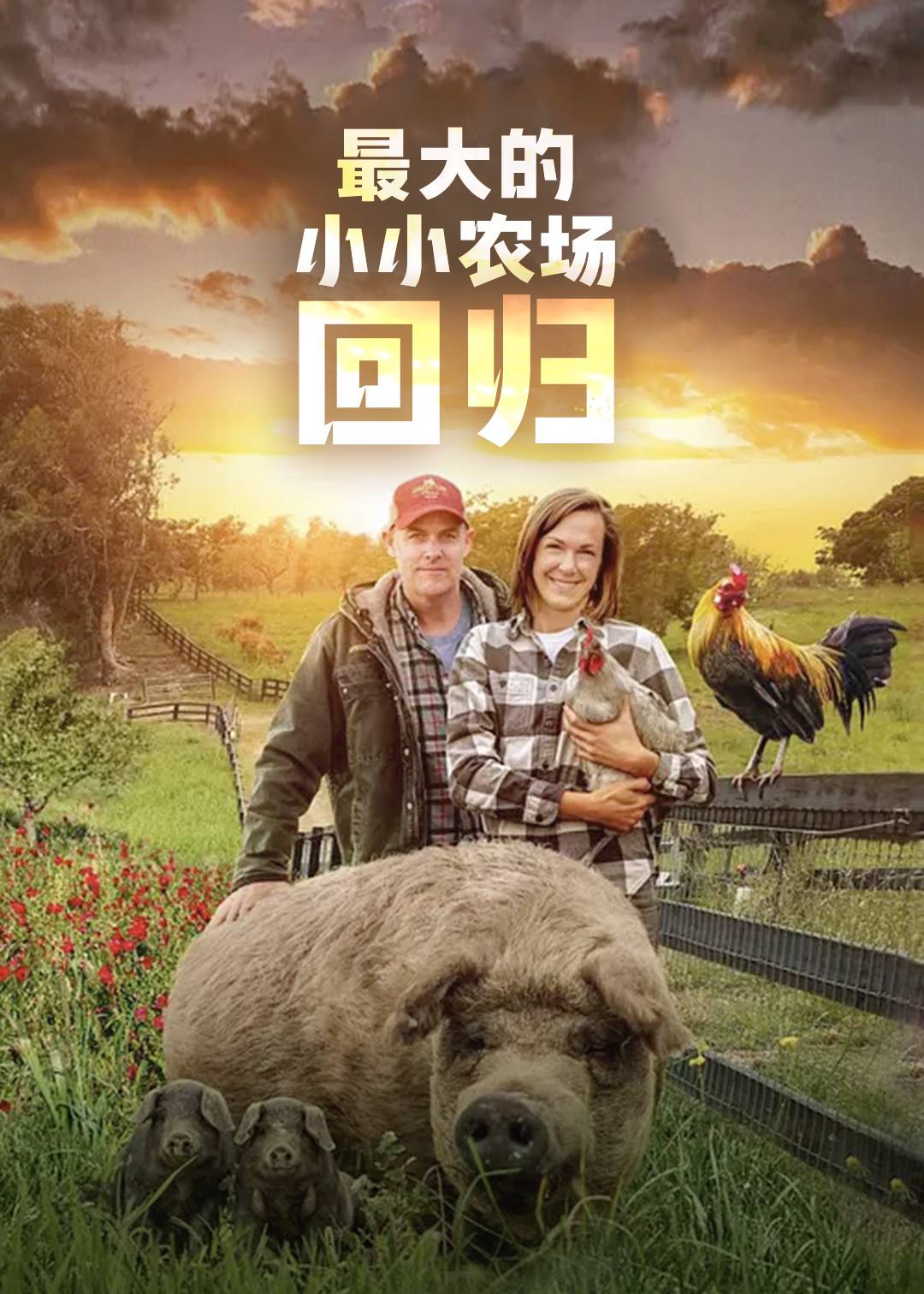 最大的小小农场：回归封面图