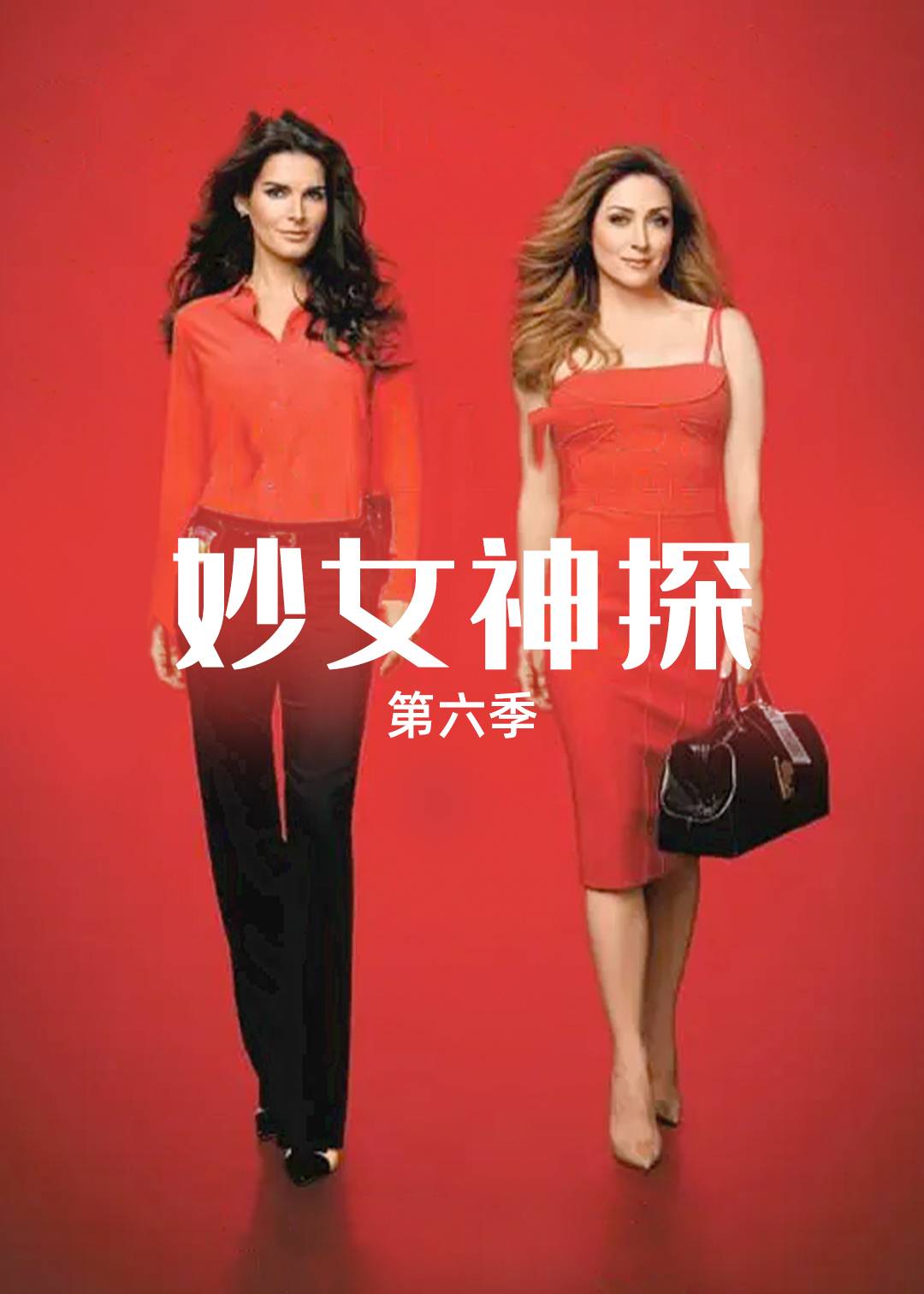 妙女神探第六季