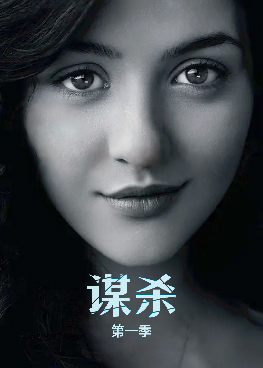 谋杀第一季