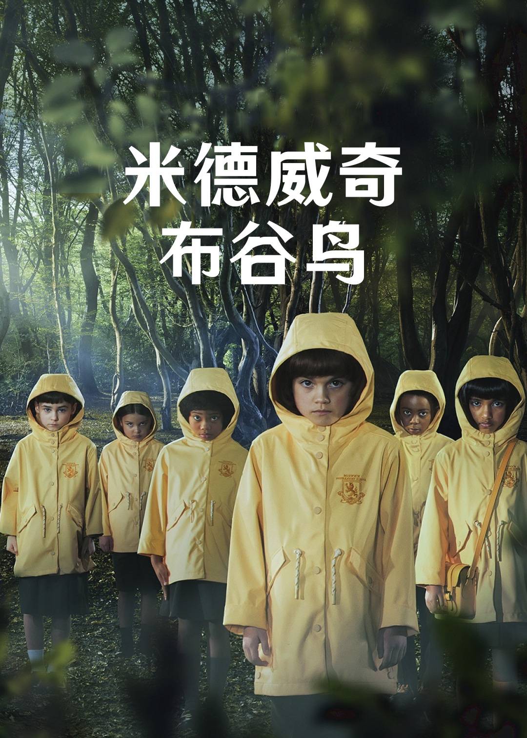 米德威奇布谷鸟