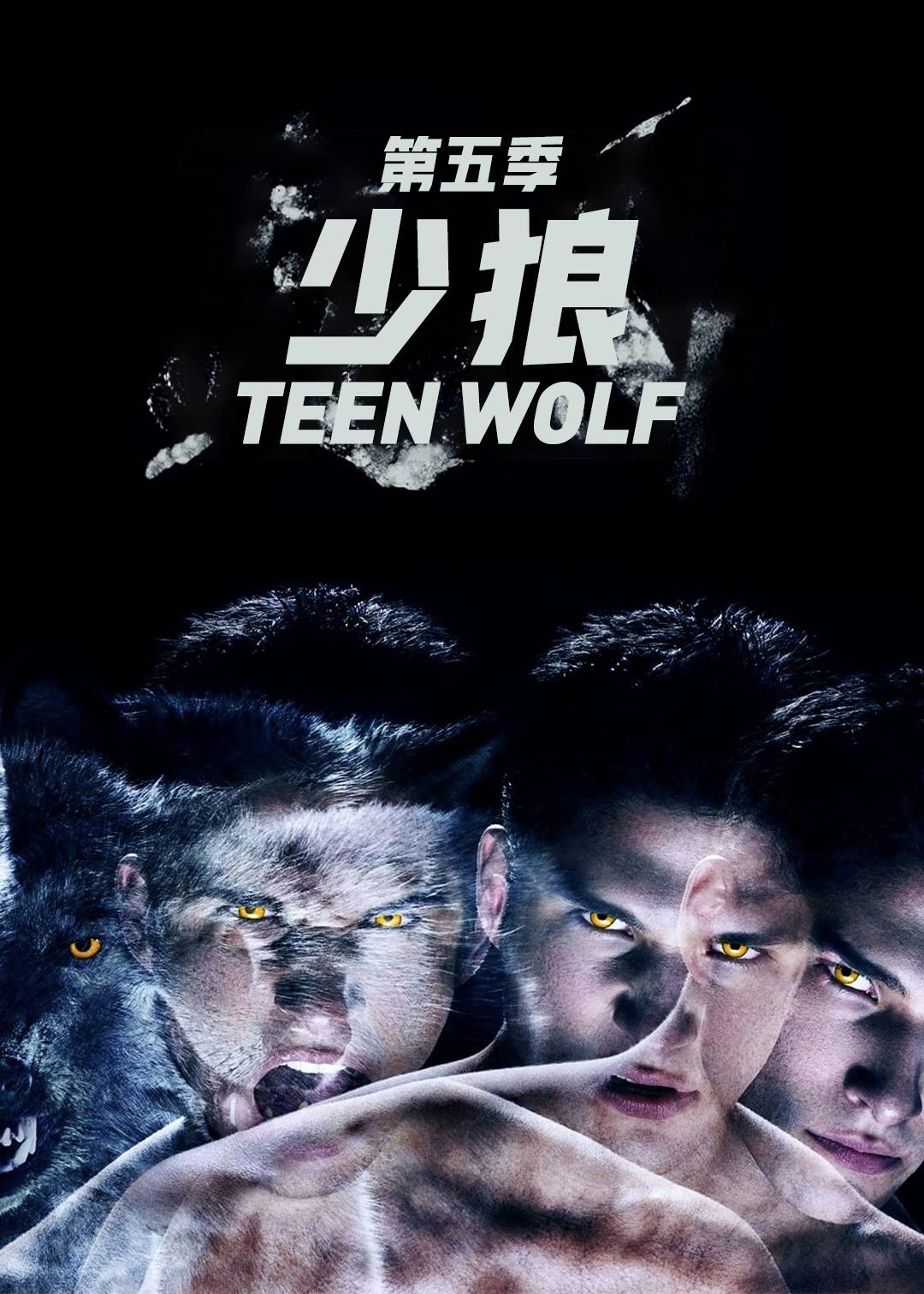 少狼第五季