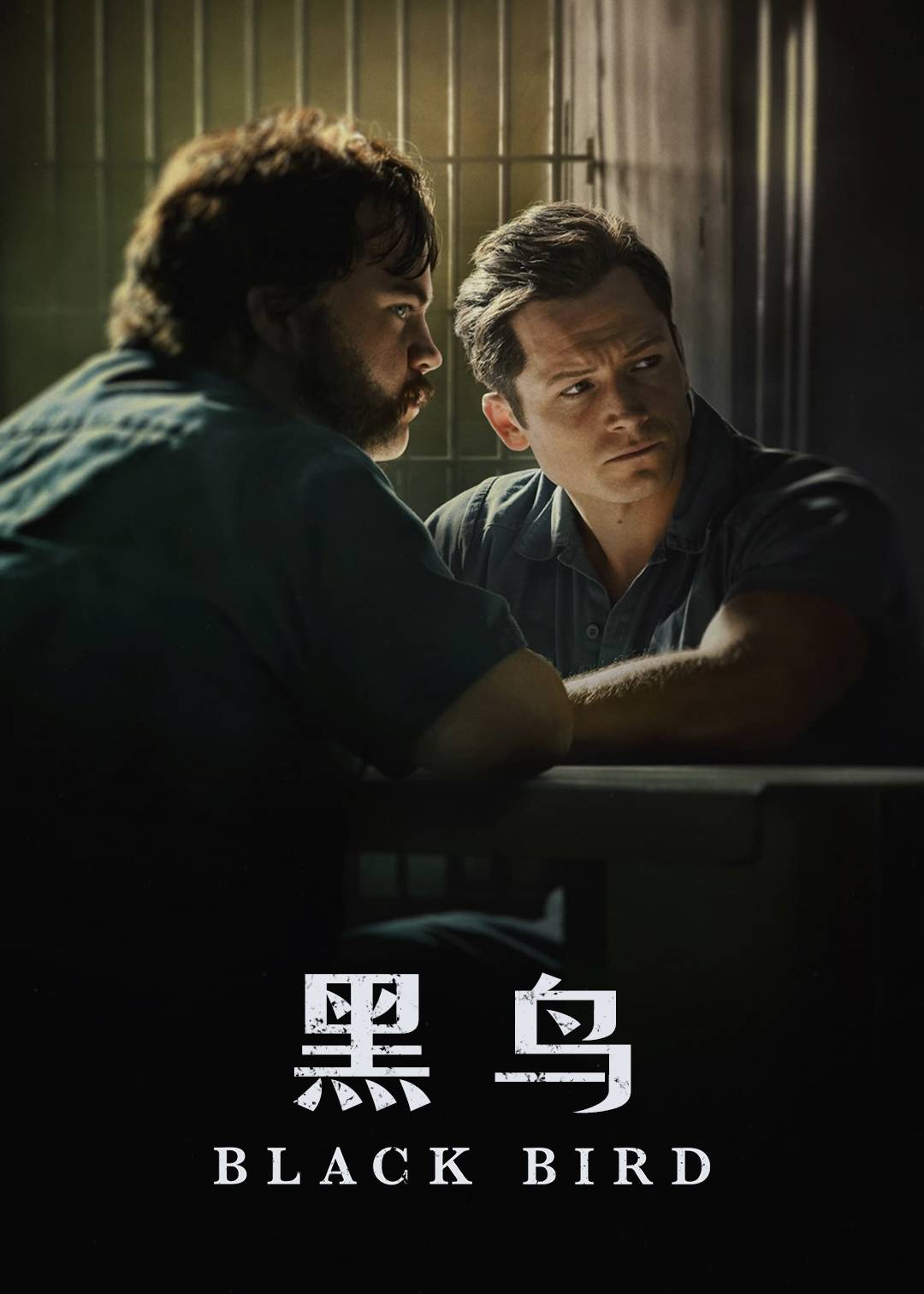 黑鸟
