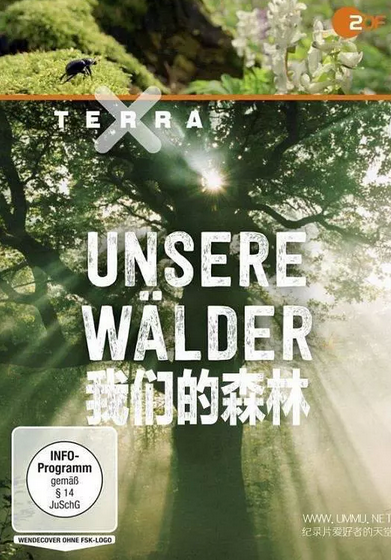 我们的森林封面图