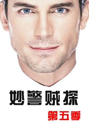 妙警贼探第五季