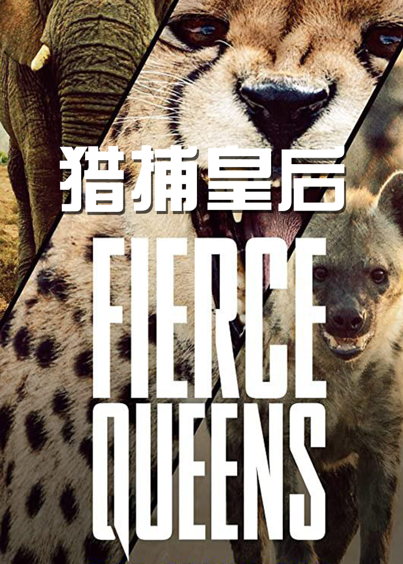 捕猎皇后