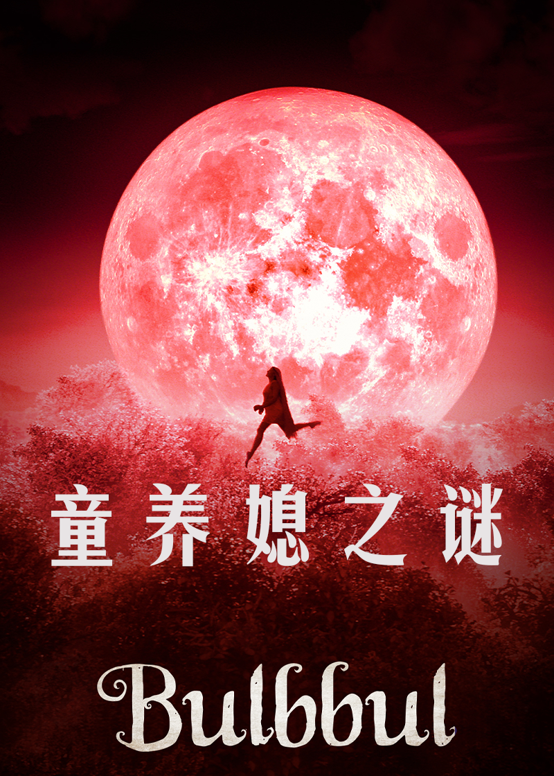 童养媳之谜封面图