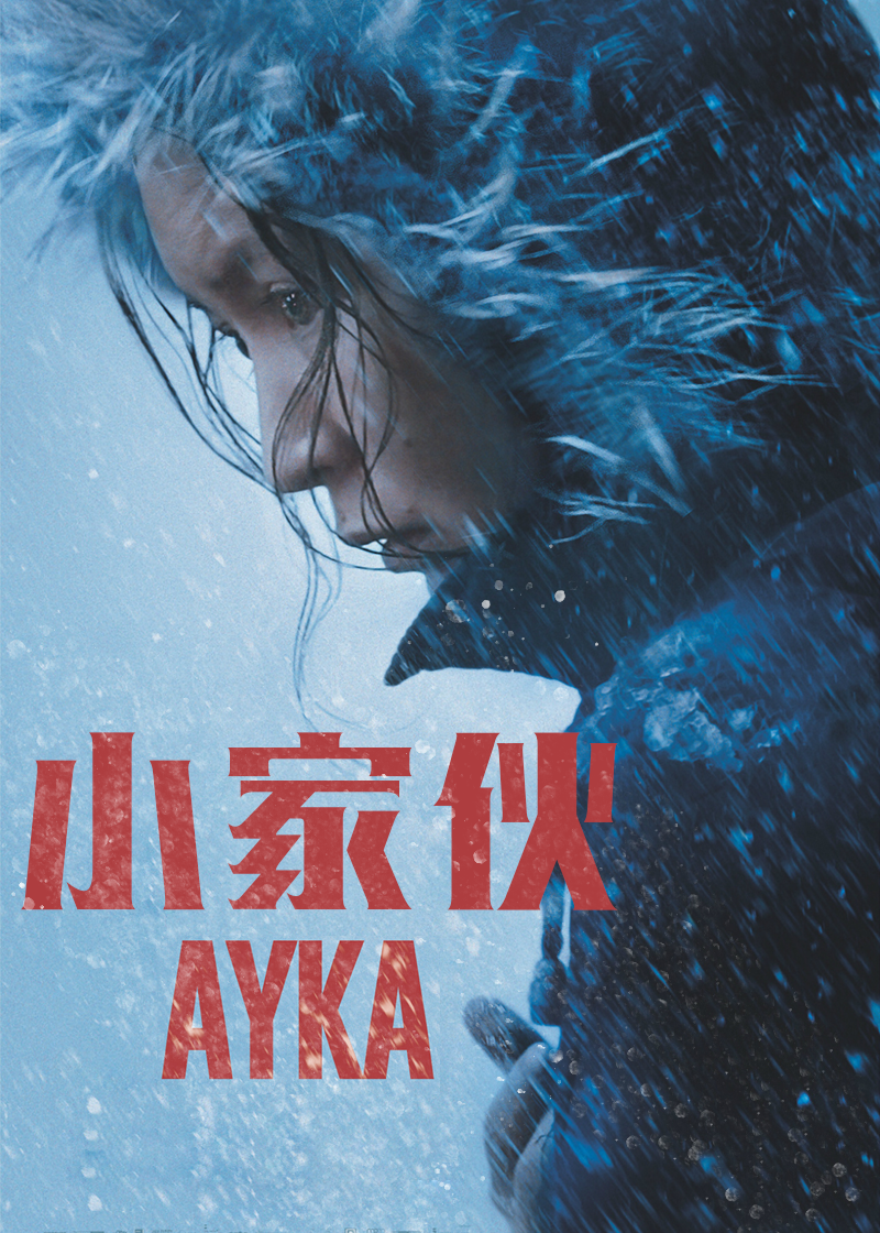 小家伙