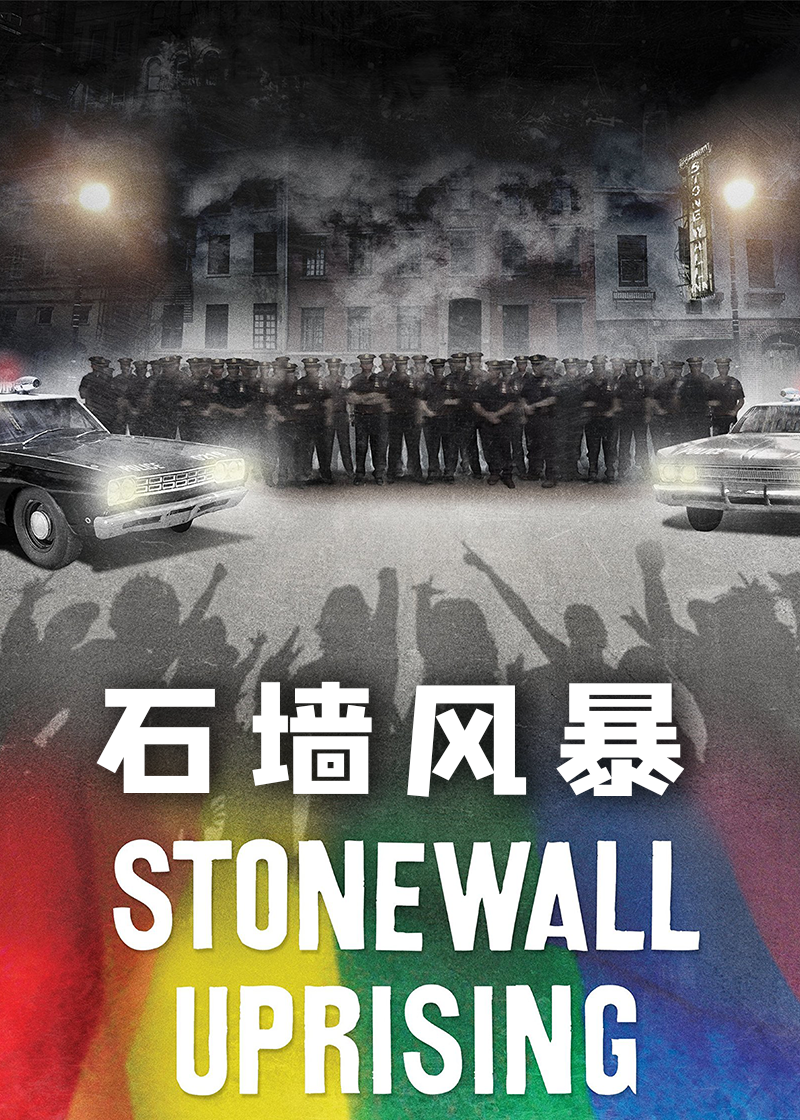 美国历程：石墙风暴
