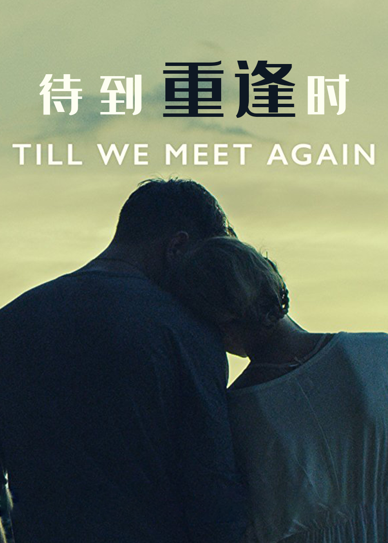 待到重逢时
