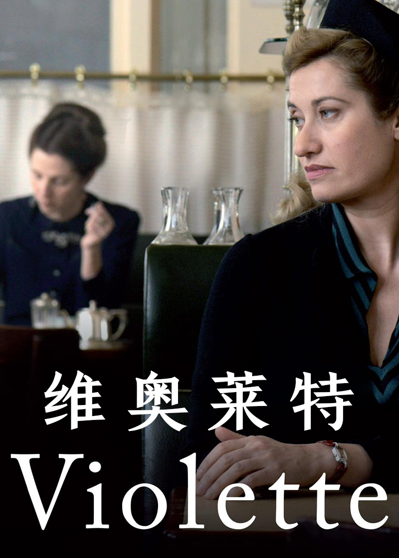 维奥莱特封面图