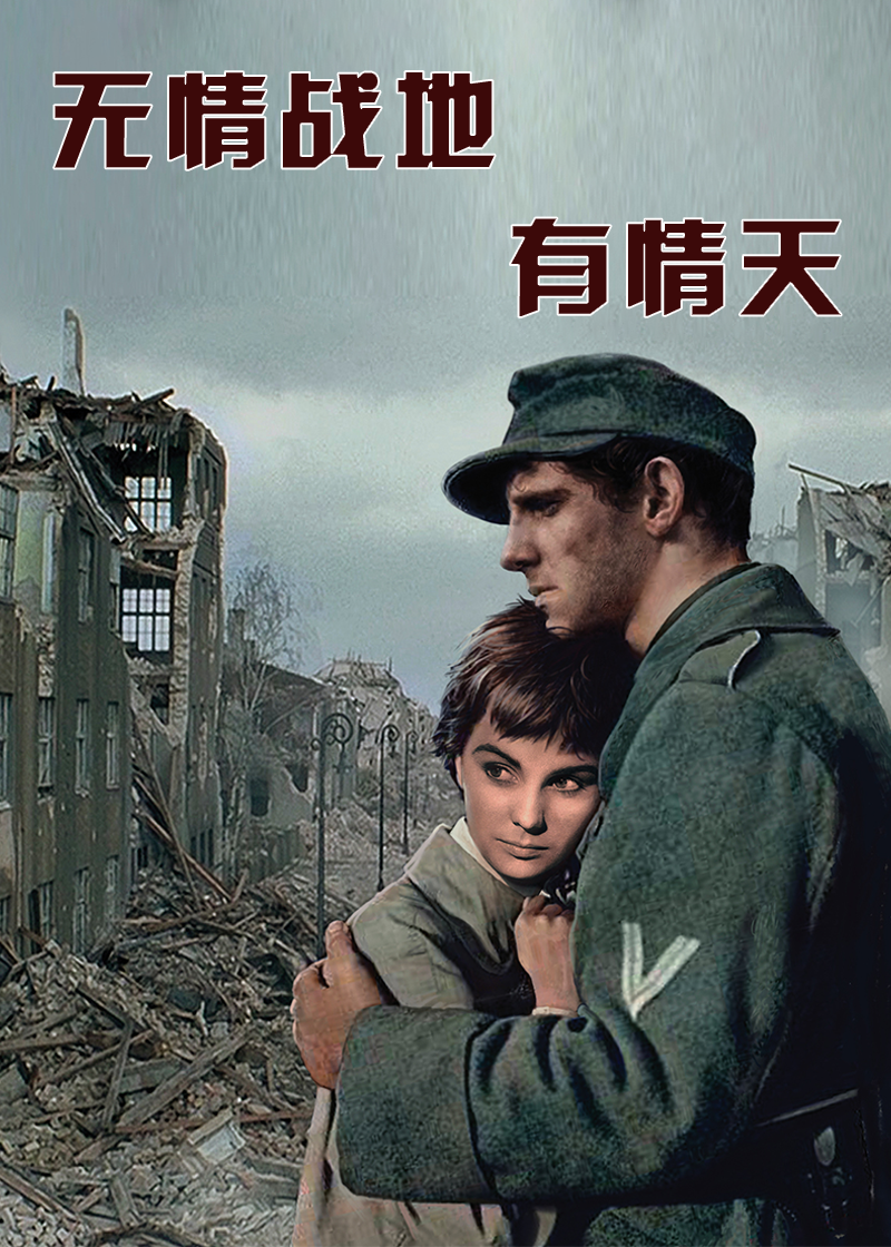 无情战地有情天封面图