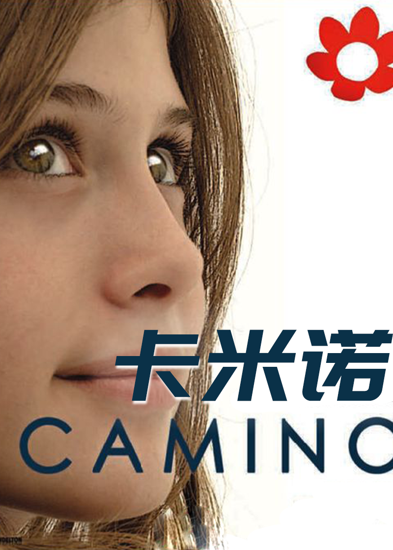卡米诺