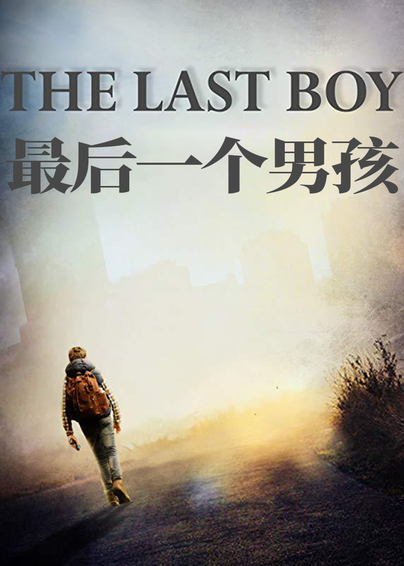 最后一个男孩封面图