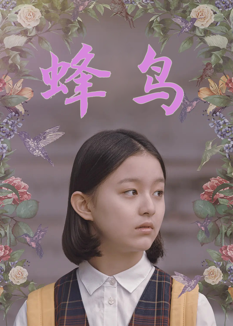 蜂鸟封面图