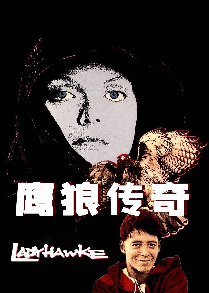 鹰狼传奇封面图