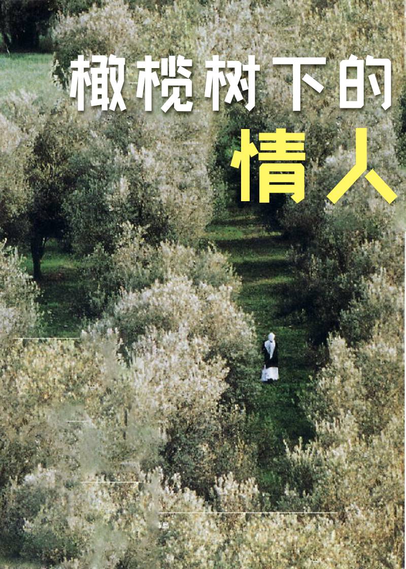 橄榄树下的情人封面图