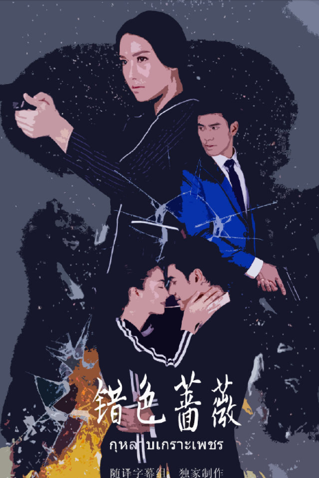 错色蔷薇