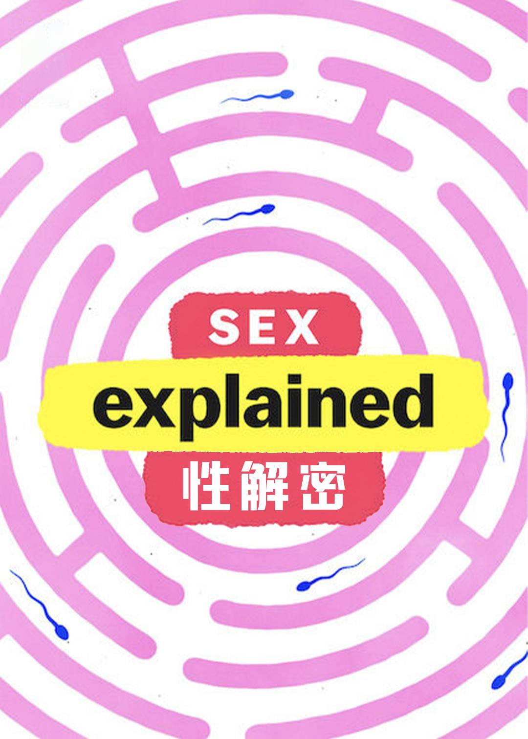 爱情解密封面图