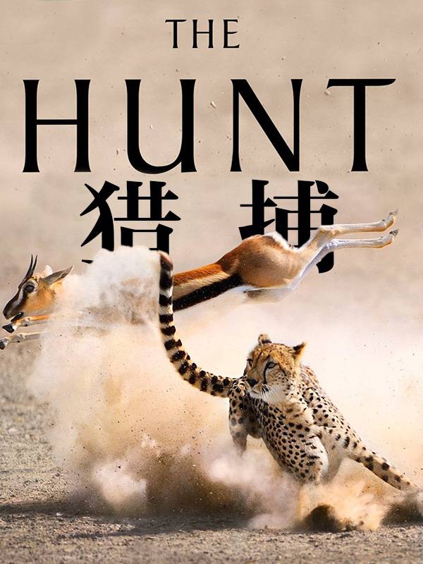 猎捕封面图